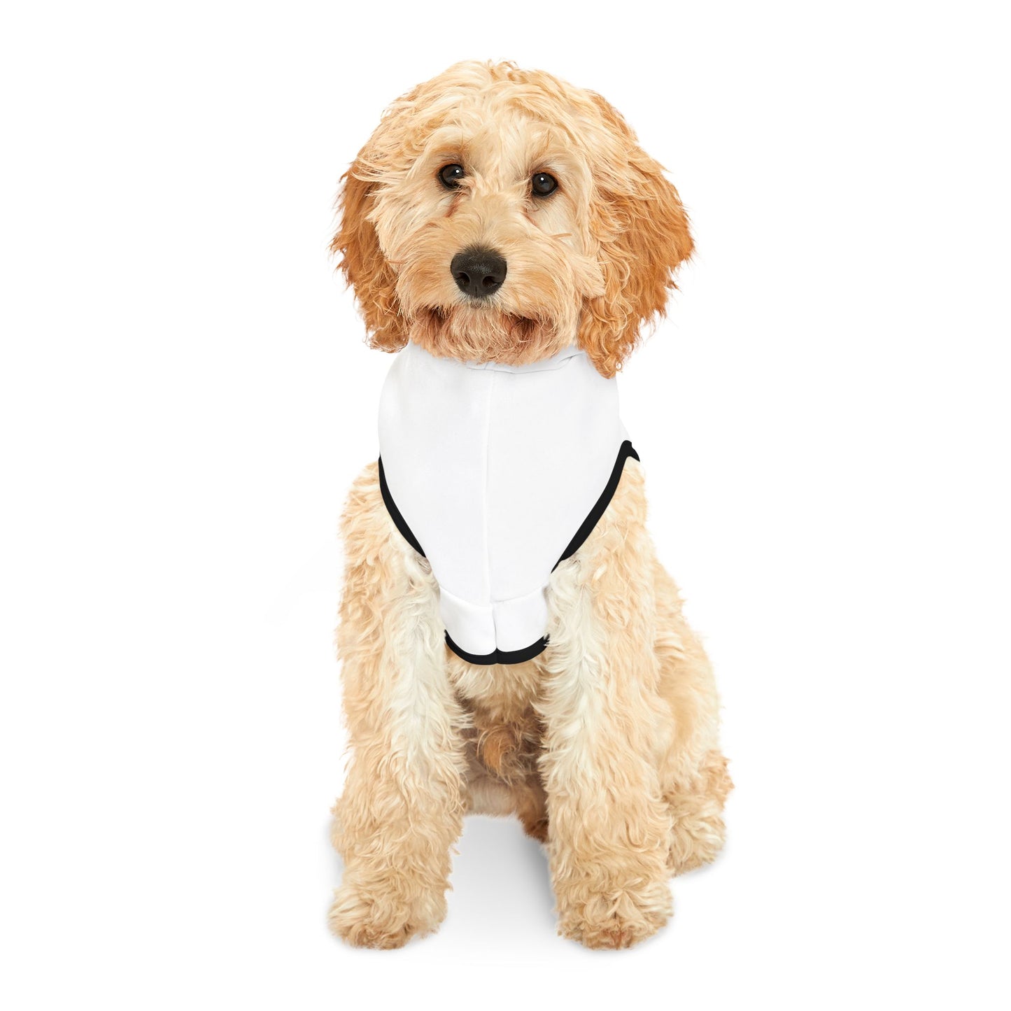 Namaste, Bitches! Pet Hoodie for Mindful Pets, Cozy Dog Sweater, Yoga Dog Outfit, Funny Pet Apparel, Unique Gift for Pet Lovers