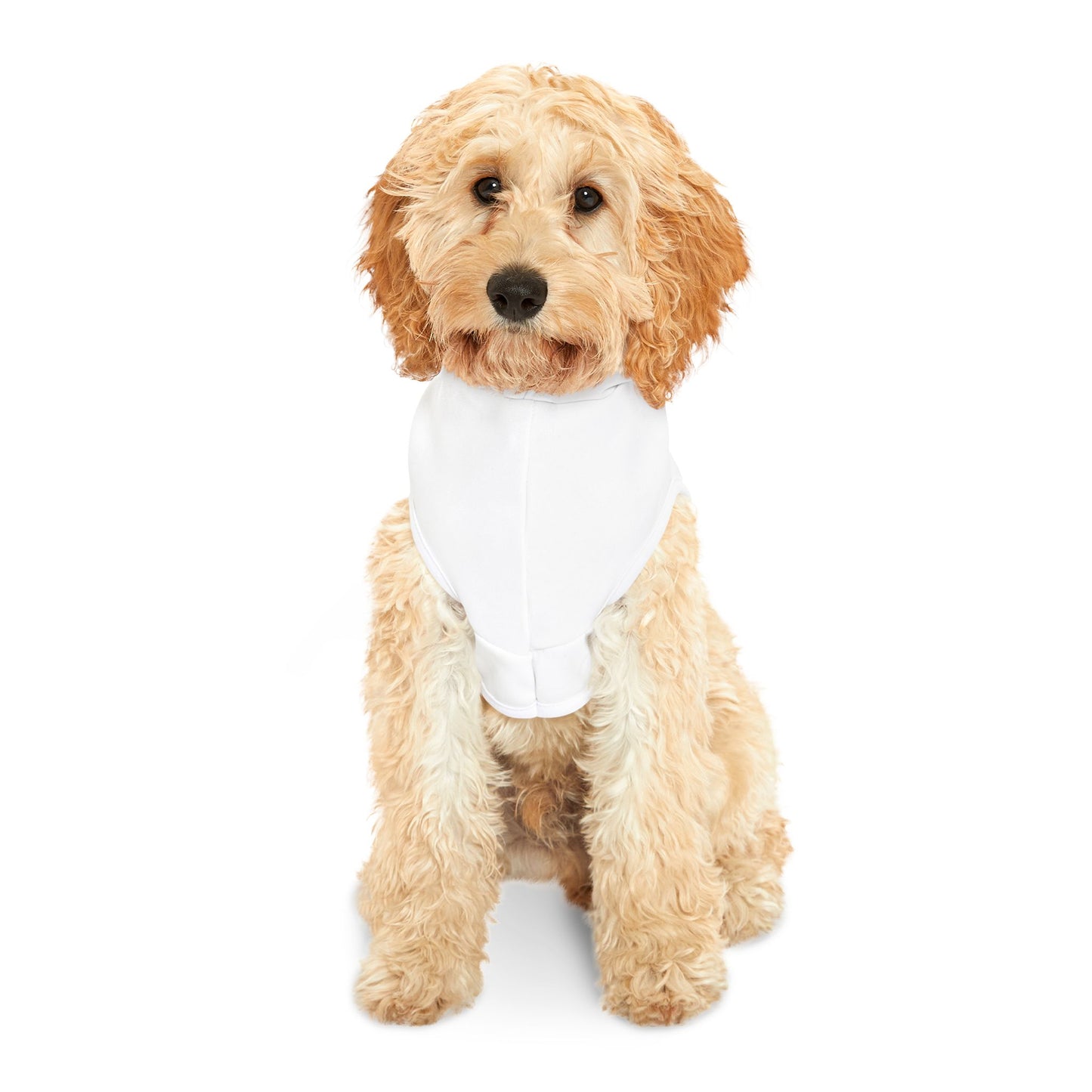 Namaste, Bitches! Pet Hoodie for Mindful Pets, Cozy Dog Sweater, Yoga Dog Outfit, Funny Pet Apparel, Unique Gift for Pet Lovers